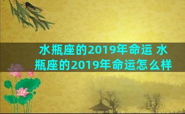 水瓶座的2019年命运 水瓶座的2019年命运怎么样